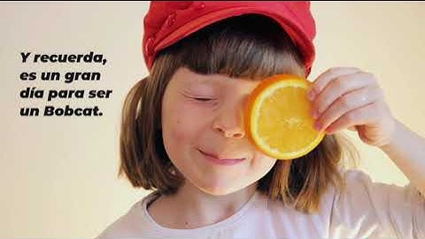 MSD321 Free Reduced  Lunch Changes Spanish