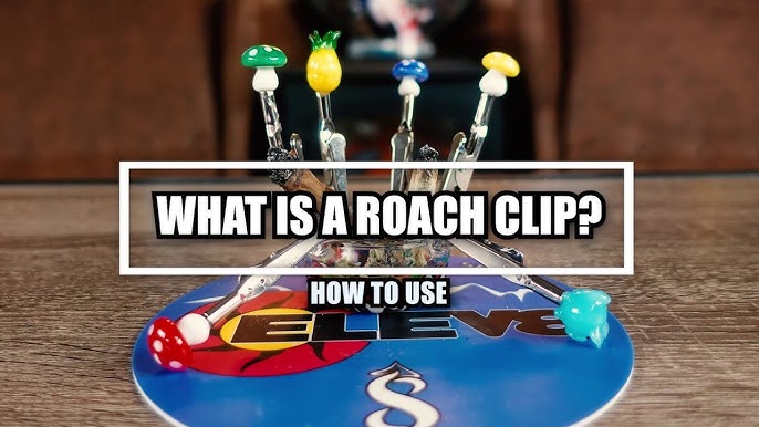 DIY roach clips··