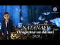 Natanael - Dragostea va dainui cover