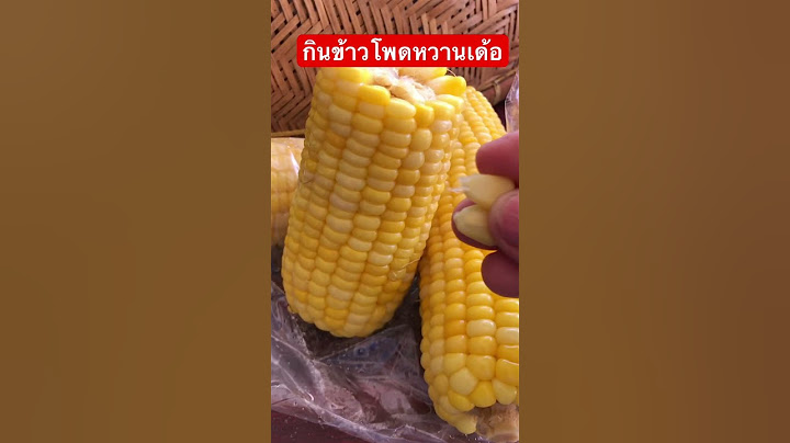 กินข้าวโพดหวานเด้อ