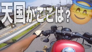 【Motovlog】クソ美味いと話題の「激硬プリン」を食べに行った。/ Harley-Davidson XL1200XS XL1200NS XL1200X【ウミネコ商店】