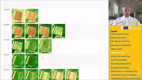 Davide De Marchi - Voilà dashboards for policy support | JupyterCon 2020