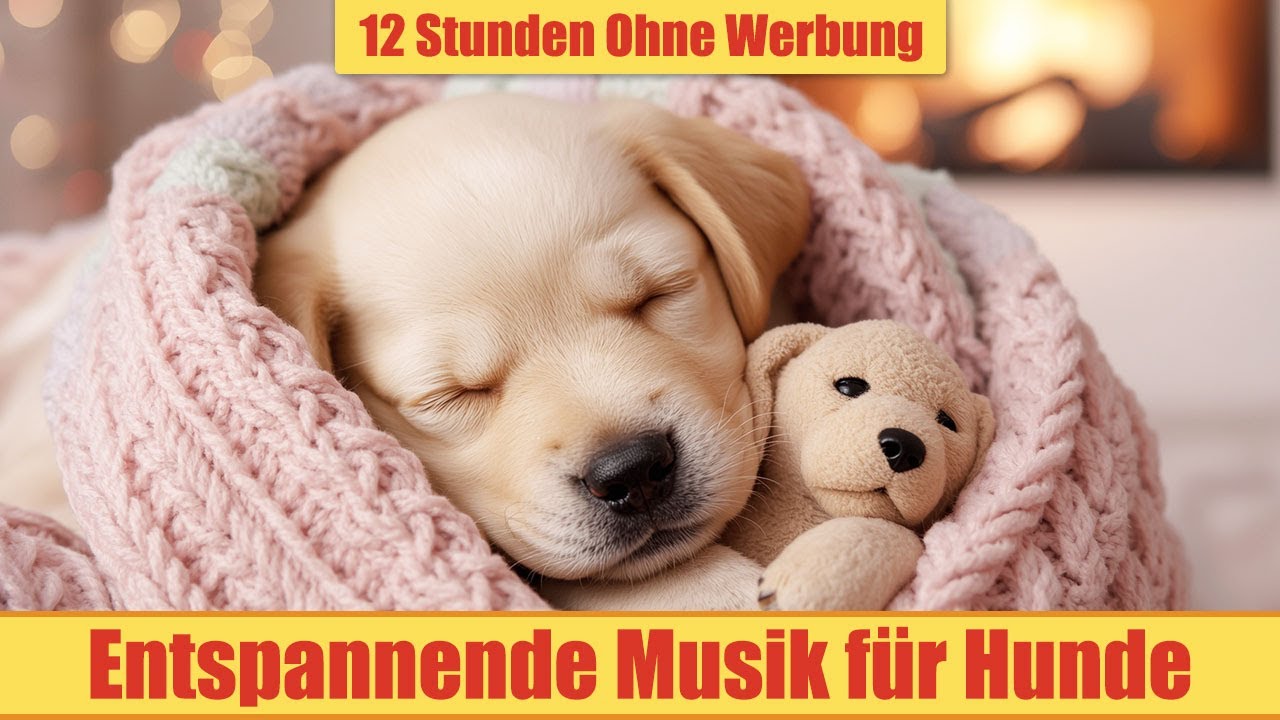 Beruhigende Musik für Hunde - 12 Stunden Ohne Werbung | Anti-Stress & Beruhigung_vol.23