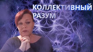 КОЛЛЕКТИВНЫЙ РАЗУМ. | ЭКСТРАСЕНС ЛИЛИЯ НОР!