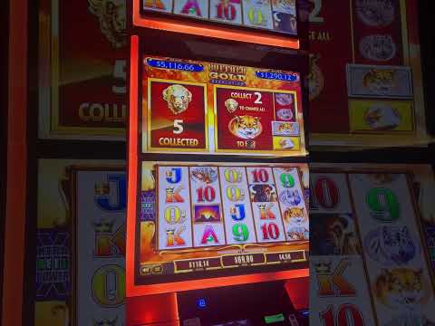 Revolution Casino: De Ultieme Online Casino Spelervaring in Nederland