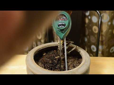 Video: Soil acidity and moisture meter: principle of operation, popular models