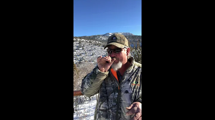 How To Use Carver Predator Calls Open Reed Distres...