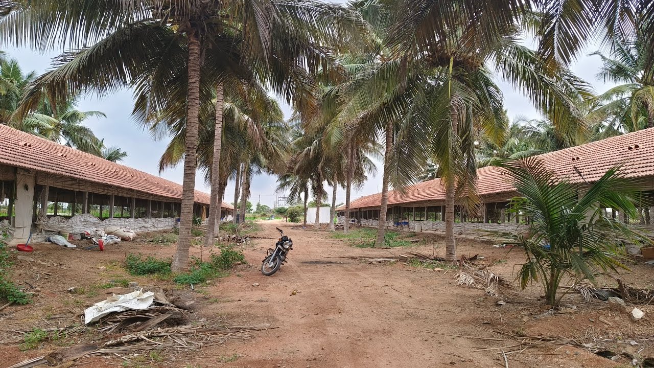 வருட வருமானம் 25 இலட்சம். 6.42 ஏக்கர் கோழிப்பண்ணையுடன் தென்னந்தோப்பு. மொத்த விலை 3.53 கோடி...