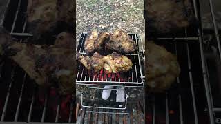 #bigsur #camping #viral #trendingshorts