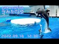 ◆上越市立水族博物館 うみがたり　ドルフィンパフォーマンス（2022.09.18）12:30~ ◆