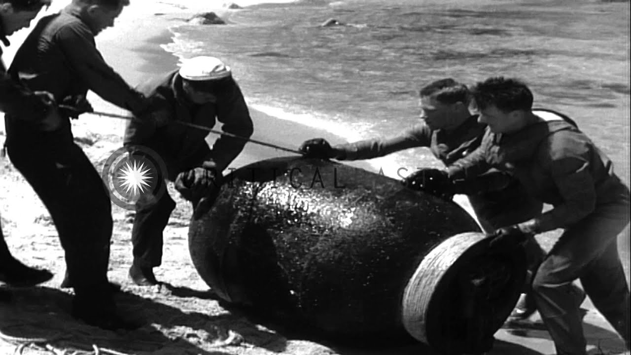 Underwater Demolition Team members push a mine onto a coast off the coast in Kore...HD Stock Footage