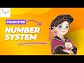 ကွန်ပျူတာ နံပါတ်စနစ်များ (Computer Number Systems)