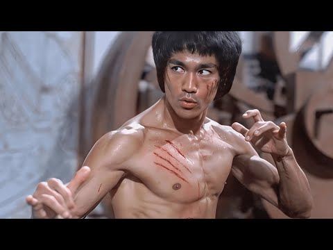 محترف فى الكونغ فو وفى كل أساليب القتال بيواجه عصابات كامله لوحده وكل مره بيهزمهم كلهم ملخص بروسلى