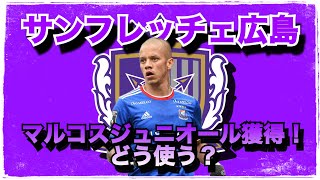 サンフレッチェ広島新たな10番！マルコスジュニオール獲得！