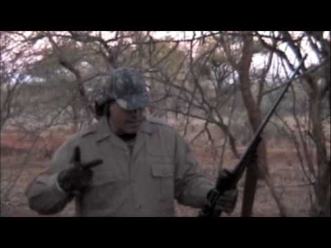 Alex Locay: The Hunting Experience - Africa: Zebra...