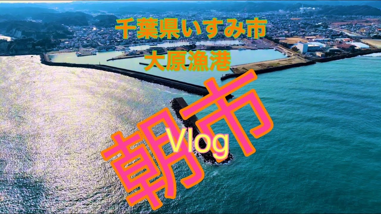 [4K Vlog]千葉県 いすみ市　大原漁港 朝市IsumiCity Ohara FishingPort Morning Market