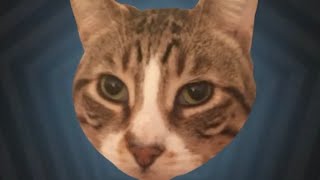 CAT - Jackbox Party Pack Live with Viewers! (w/​⁠@LuigiCapYT) [#6]