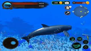 Sperm Whale Simulator IOS/Android Game screenshot 2
