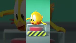 Don't Press The Red Button! #Cuteanimals #Shorts  #Chicky | Cartoon For Kids