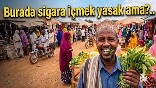 Burada Ki̇mse Si̇gara İçmi̇yor Ama O Otu Çi̇ğni̇yor Musa Avcı
