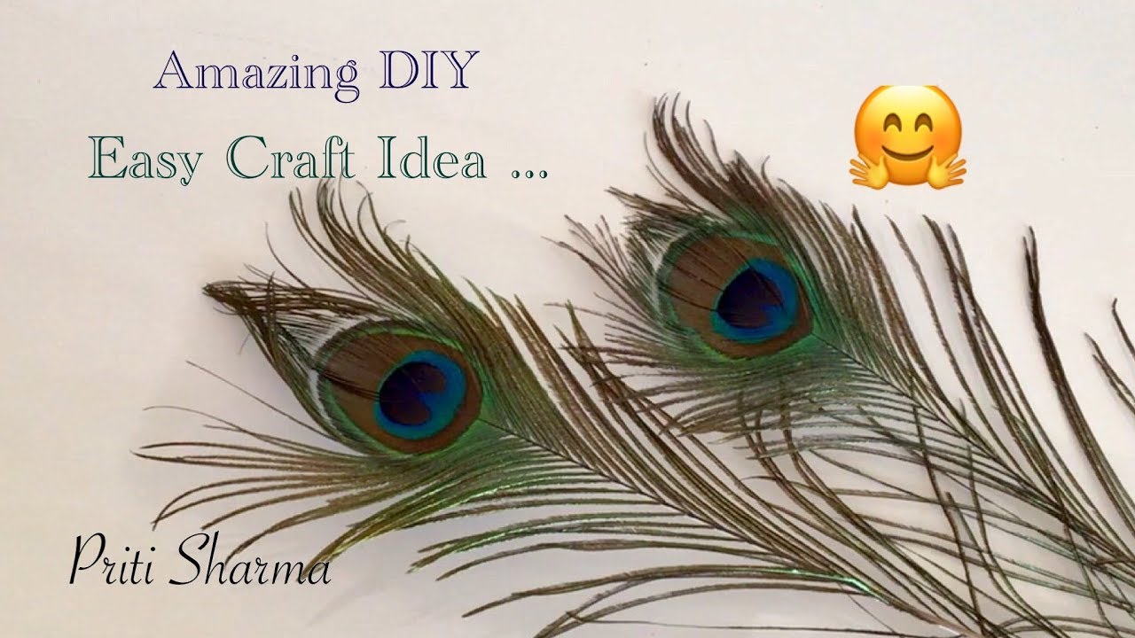 15 Make Peacock feather DIY Projects (Ideas) - Craftionary