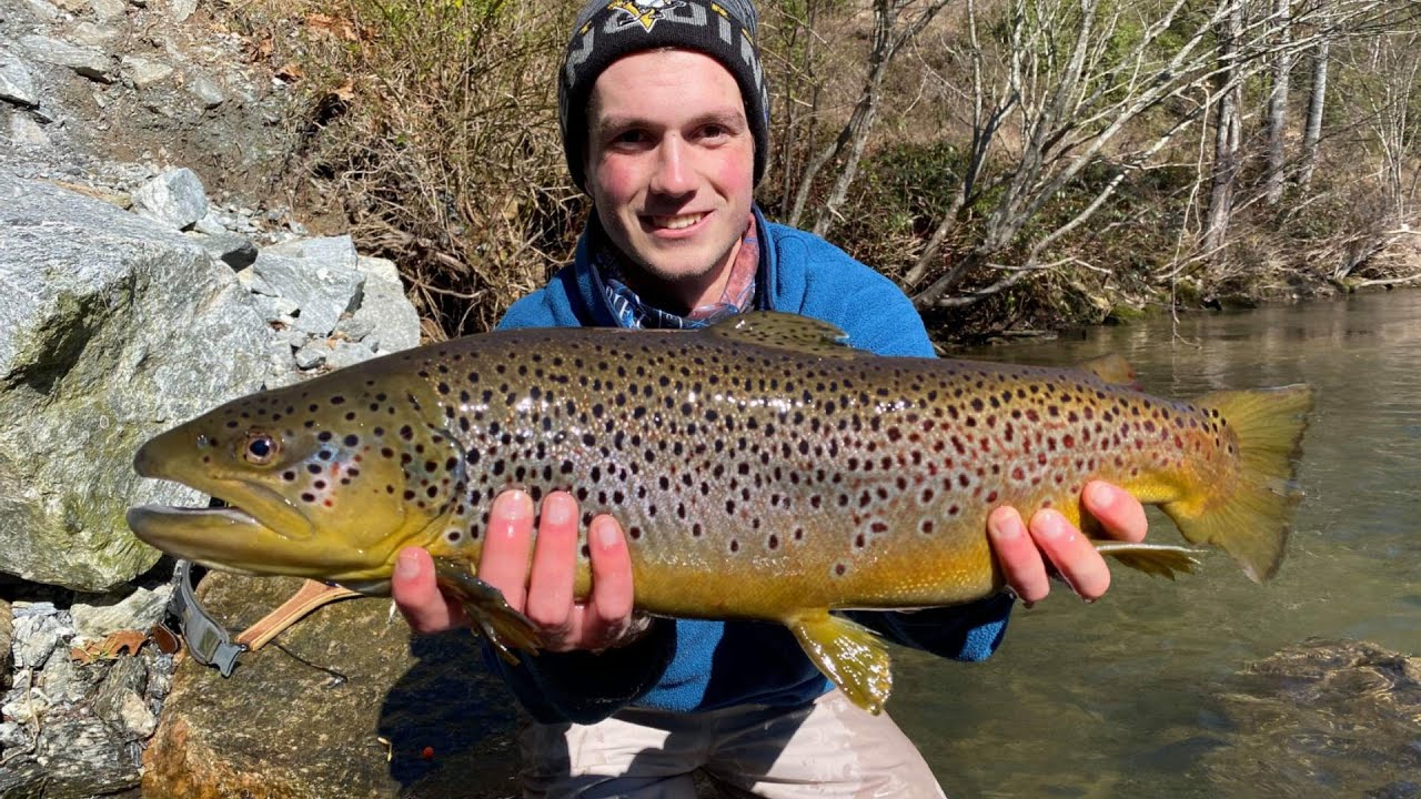 WBD - Epic Brown East Fork French Broad River Fly Fishing & Trout Fishing 