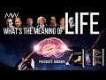 From atoms to consciousness what is life answers by physicists