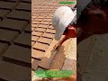 The Ancient Art of Brickmaking : Making Traditional Sun-Dried Adobe Bricks