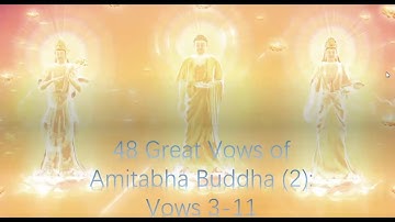 Sutra Talk | 48 Great Vows of Amitabha Buddha (2): Vows 3-11
