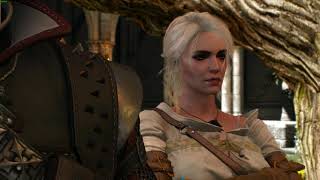 Geralt And Ciri Visit Emhyr In Vizima