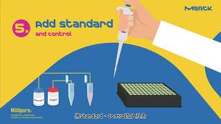 MILLIPLEX® Multiplex Assay 實驗操作流程