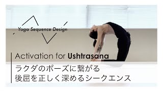 ウシュトラーサナに繋がる、後屈を無理なく深めるシークエンス例