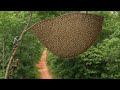 The Best Secret to Climbing Trees for Wild Honey Without the Risk of Falling