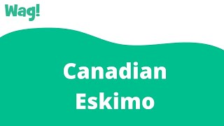 Canadian Eskimo | Wag!