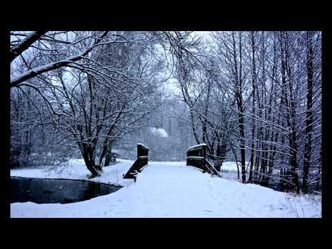 「雪が降る」　SONG BY SASAKI.S