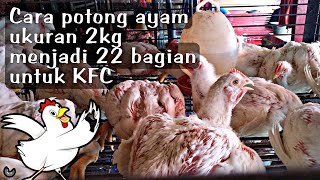 Cara Potong Ayam Ukuran 2Kg Bisa Mendapat 22 Bagian// UNTUK AYAM GORENG KFC !!
