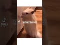 ШІШ ШЁЩ Щ Щ Щ Щ Щ рџ Јрџ Јрџ Ј ШІШ ШЁЩ Щ Щ Щ Щ Щ рџ Јрџ Јрџ Ј