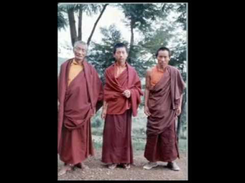 HH Zigar Choktrul Rinpoche..