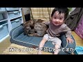 りゅうさんにクッションを買ったら赤ちゃんも気に入ってしまった　元猟犬と赤ちゃん
