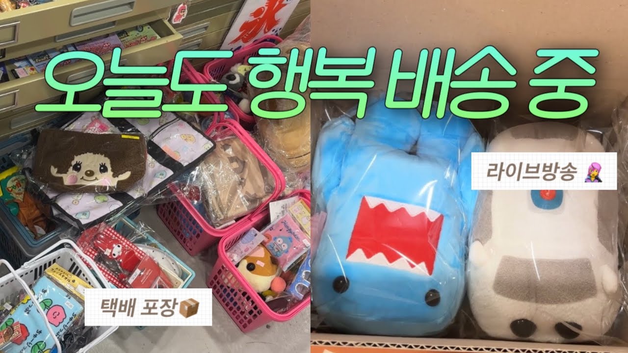 소품샵 브이로그 | 라이브방송 다음 날〰️ 택배 포장하다 하루가 다 갔어요 ◠‿◠ 📦💨