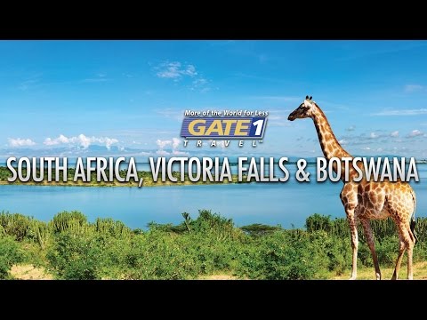 Gate 1 South Africa Highlights