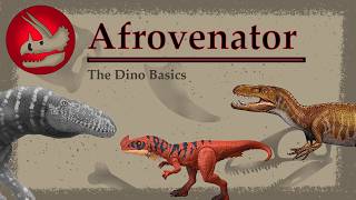 Afrovenator | Africa's Jurassic Apex (?) | Dino Basics
