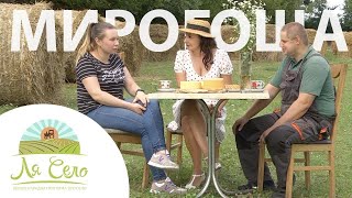 картинка: «Молочний край»: Ля Село у Мирогощі