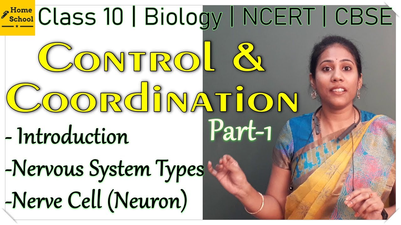 Control and Coordination | Part 1 | Class 10 Biology - YouTube
