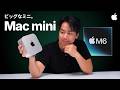 これはすごいぞ!M6 Mac mini 先行レビュー!動画・写真編集やAIのパフォーマンス徹底検証