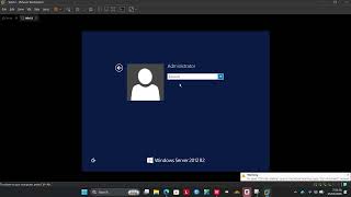 Cách ping ra được internet trên máy win ảo bản vmware workstation 17 pro