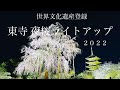【京都夜桜2022】世界文化遺産　京都東寺　夜桜ライトアップ　撮影22.3.30