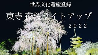 【京都夜桜2022】世界文化遺産　京都東寺　夜桜ライトアップ　撮影22.3.30