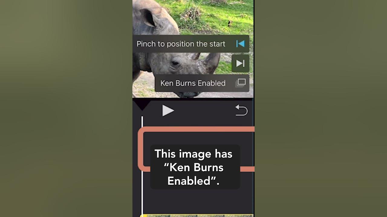 Keep an image from moving in and out in iMovie on your iPhone or iPad
