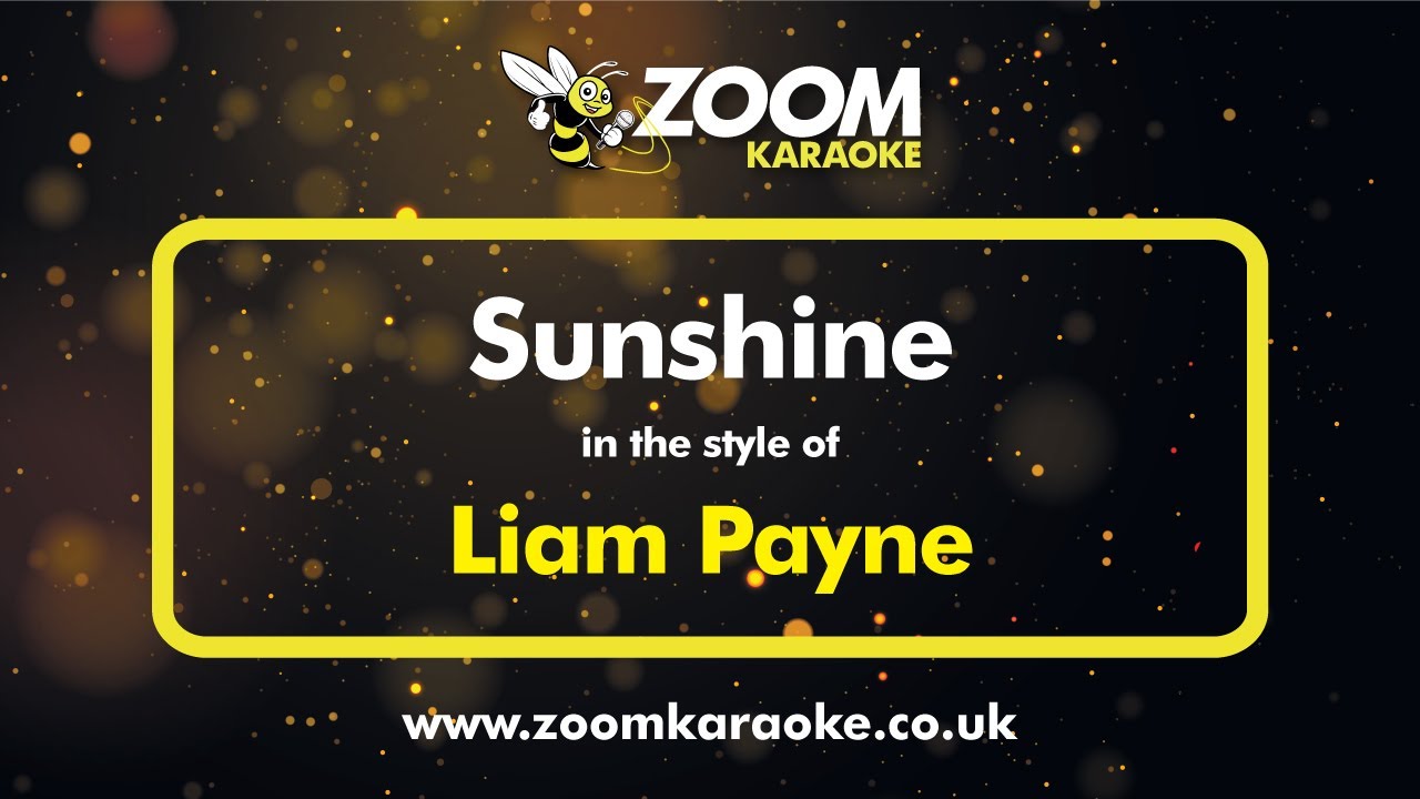 Liam Payne - Sunshine (Without Backing Vocals) - Karaoke Version from Zoom Karaoke